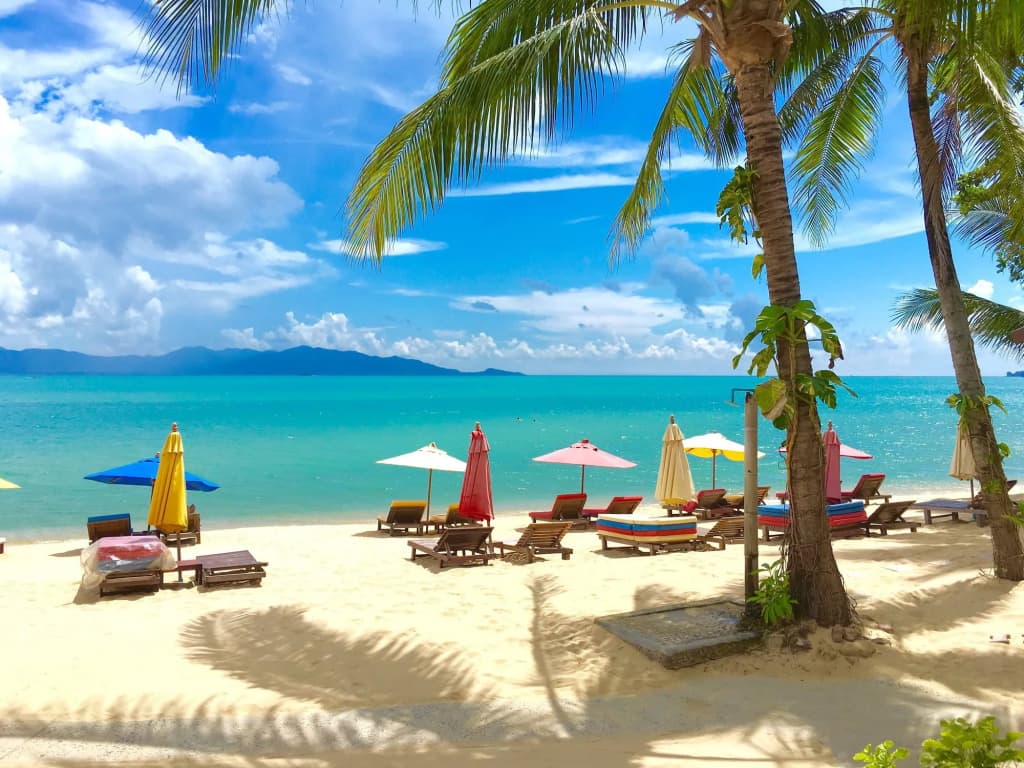 The Cosy Beach Resort - photo 21