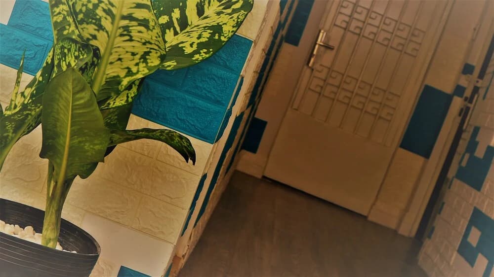 PIP Houses - photo 10