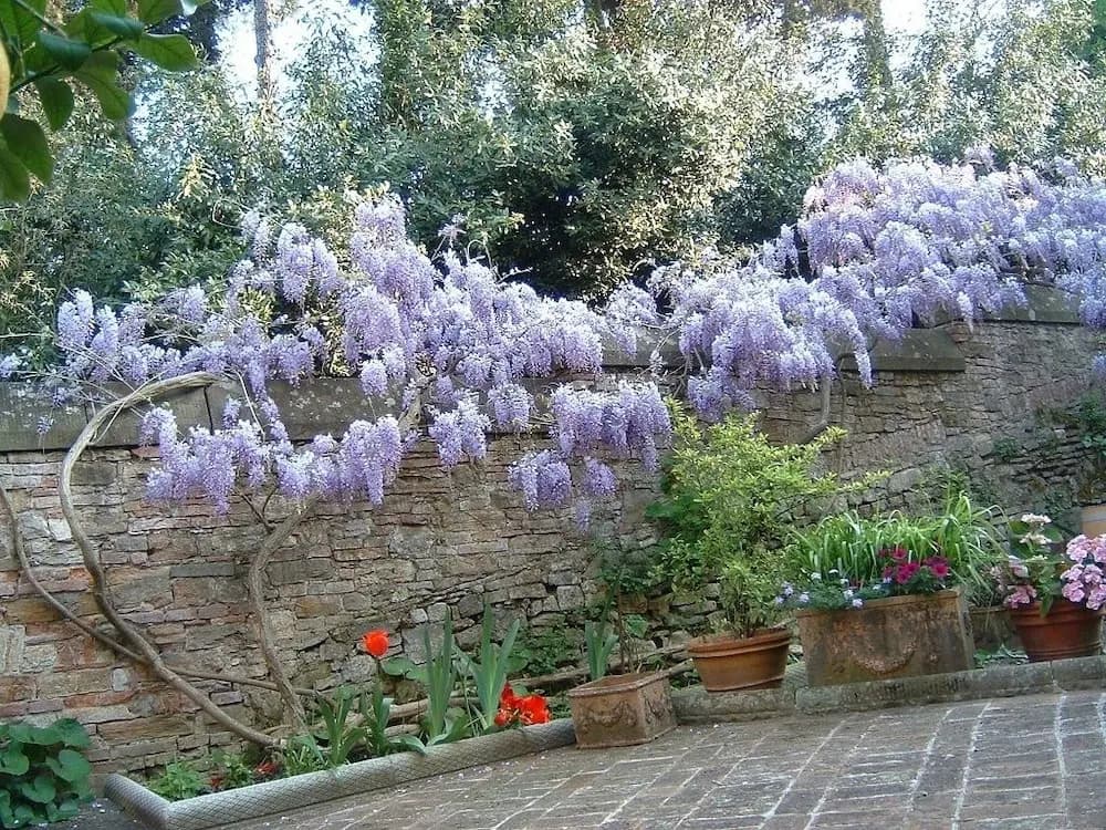 Bed and Breakfast Borgo Ponte dell'Asse - photo 14