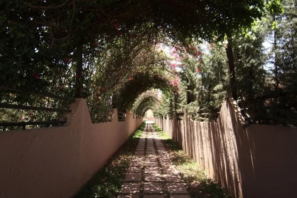 Olivar Palace-Luxury Villa1 - photo 16