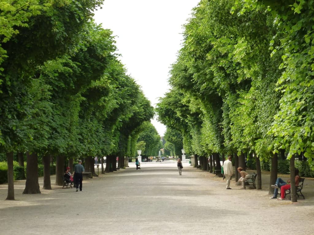 Apartment24-Schönbrunn Zoo - photo 10