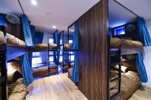 Cocoon Inn - photo 2
