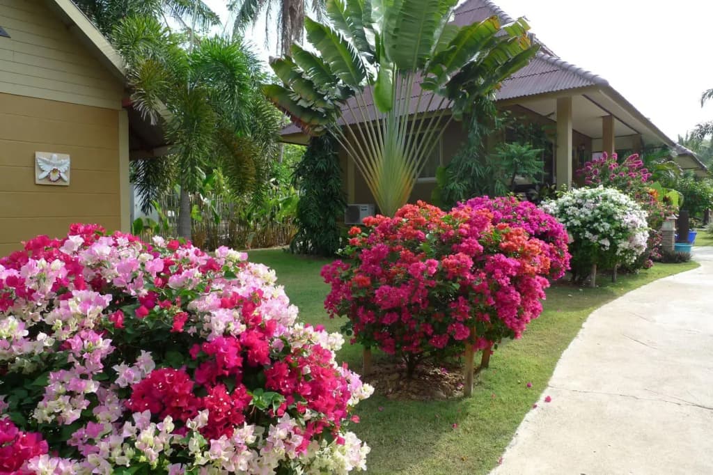 Lanta Castaway Beach Resort - photo 19