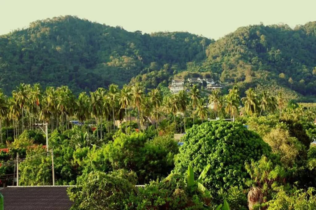 Tropical Sands Guesthouse - photo 19