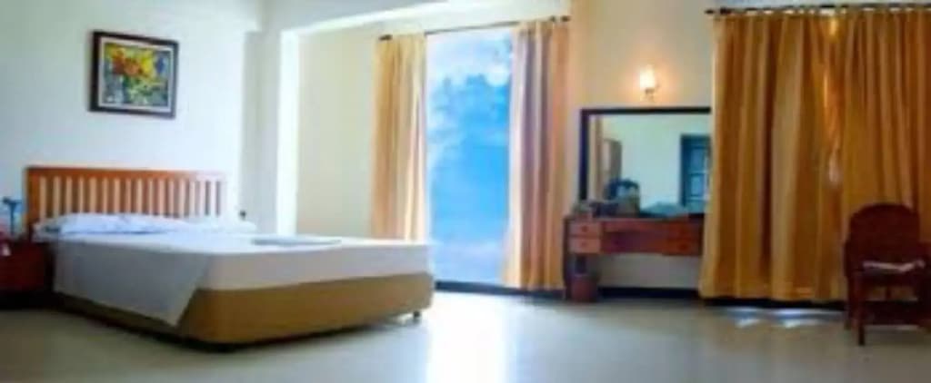 Baani Hotel - photo 4