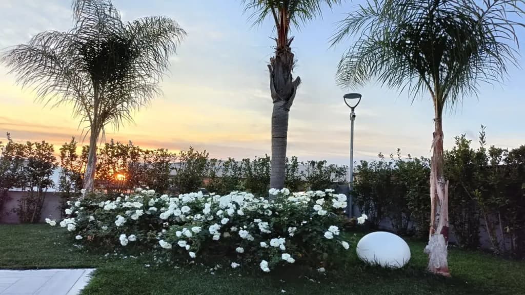 Hotel Ohana - photo 24