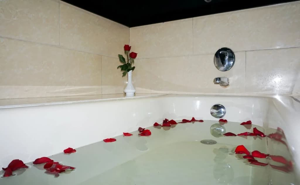 Adina Hotel - photo 18