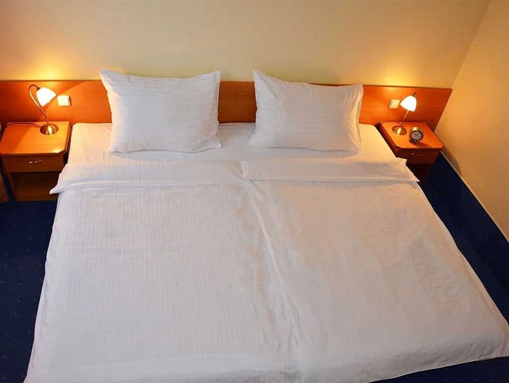 Albionette Hotel - photo 2
