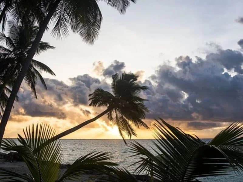 Riveli Retreat at Mathiveri Maldives - photo 26