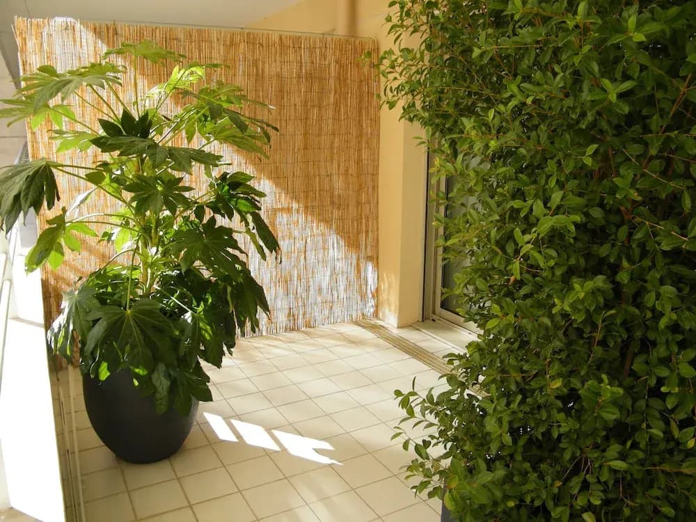 Palais Ophelia - photo 9