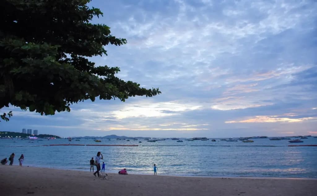 Basaya Beach Hotel & Resort - photo 24