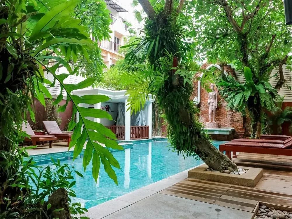 NIDA Rooms Viridian Patong Beach - photo 15