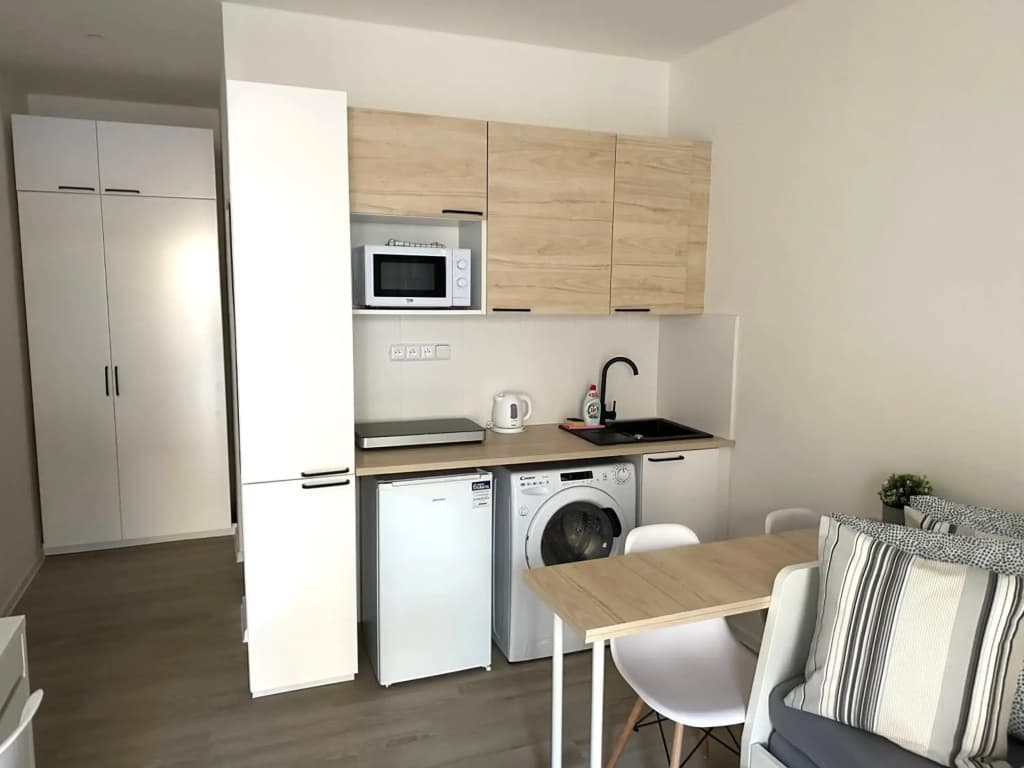 Seifert Residence - photo 19