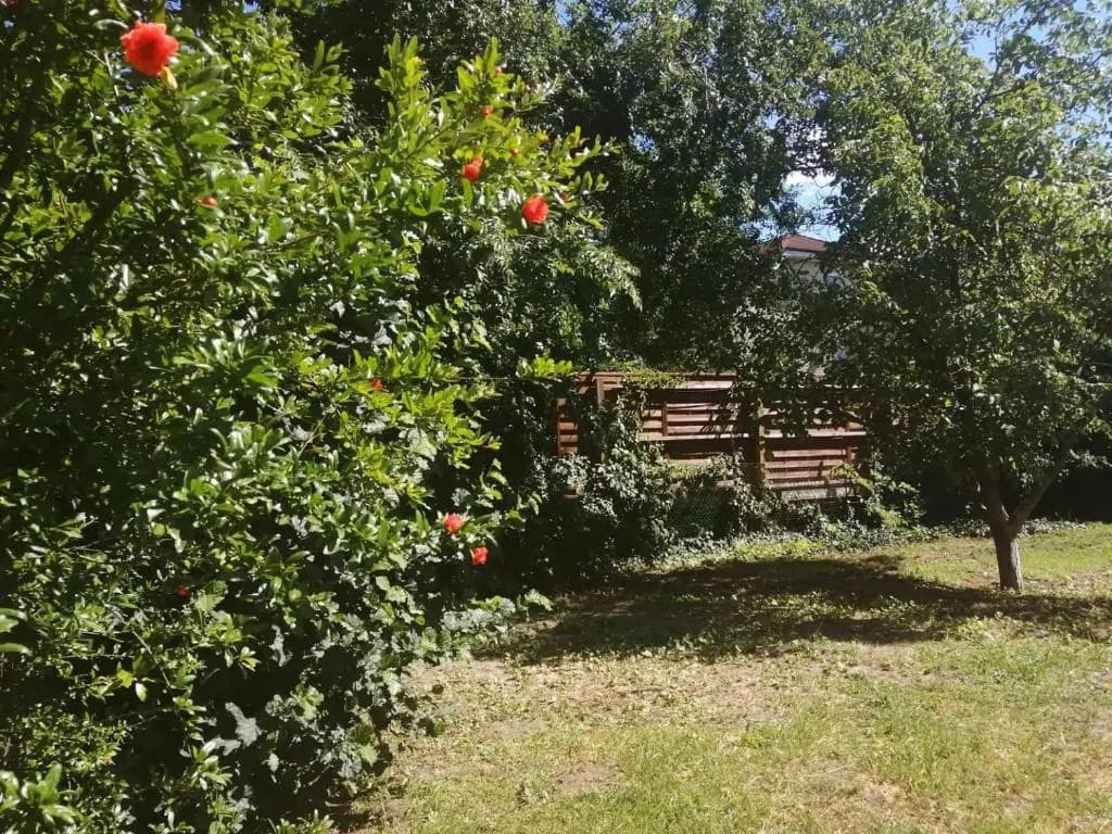 Rákos-patak Family House - photo 8