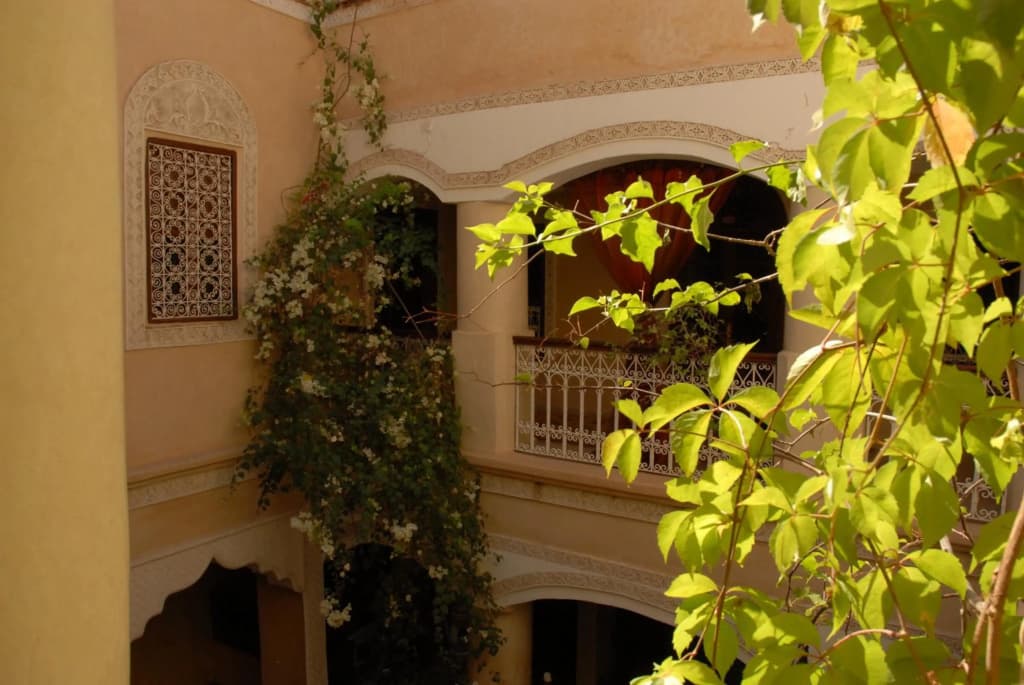 Riad Lorsya - photo 36