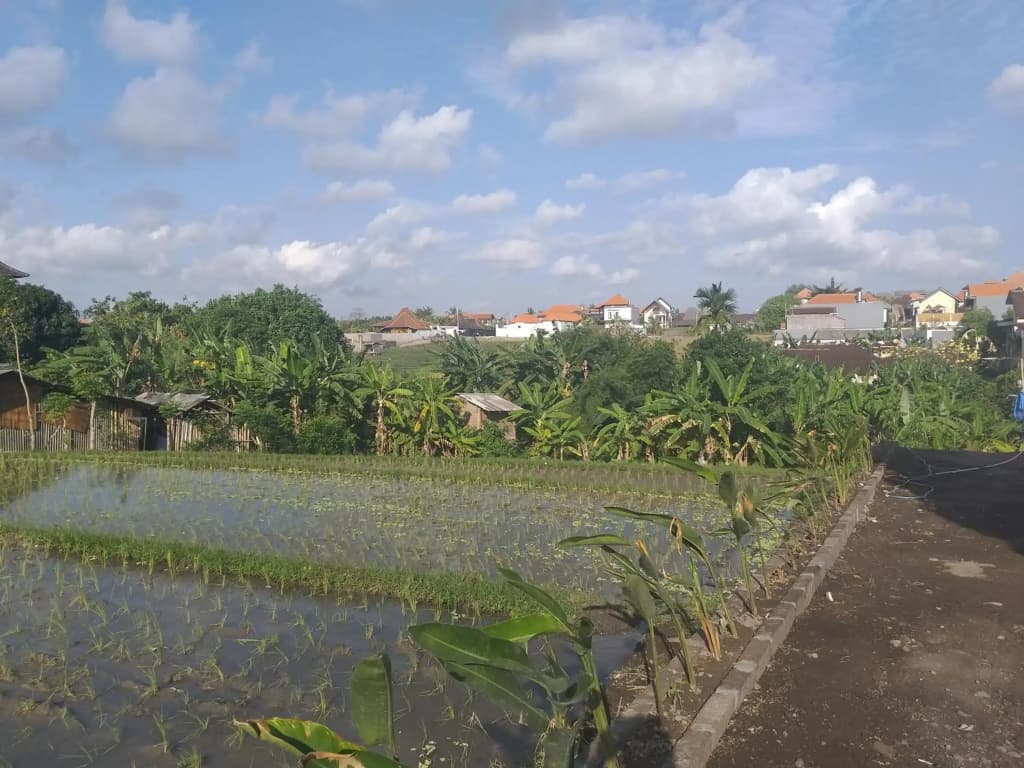 PD Bali Guesthouse - photo 12
