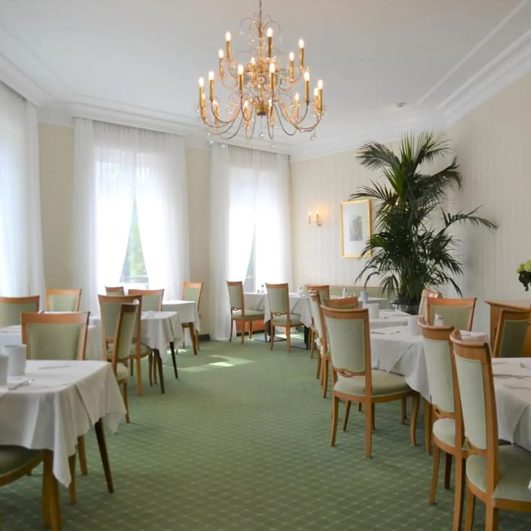 Hotel an der Wien - photo 15