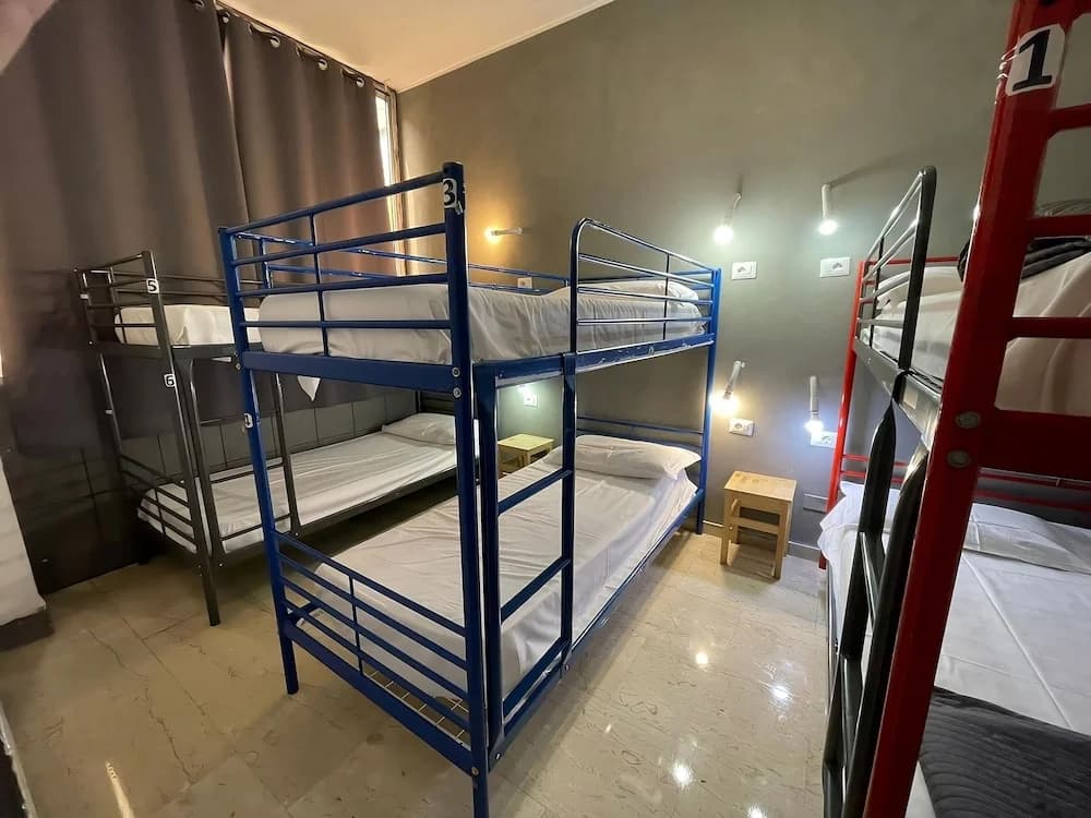 Lion Guesthouse - photo 11