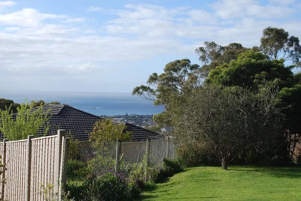 Jackson's Dromana - photo 11