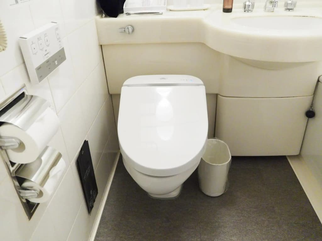 Hotel Sunroute Stellar Ueno - photo 8