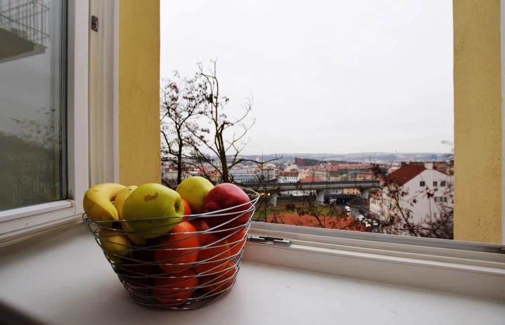 Rehorova Apartments - photo 8