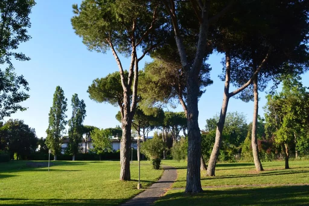 Le Cicale - main photo