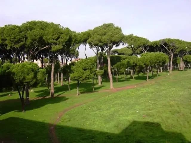 La Casa delle Peonie - photo 6