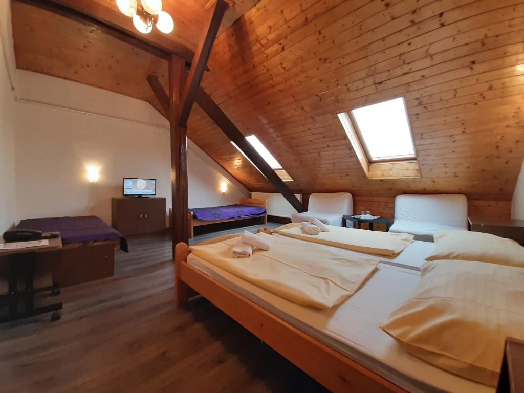 Hotel Olga - photo 7