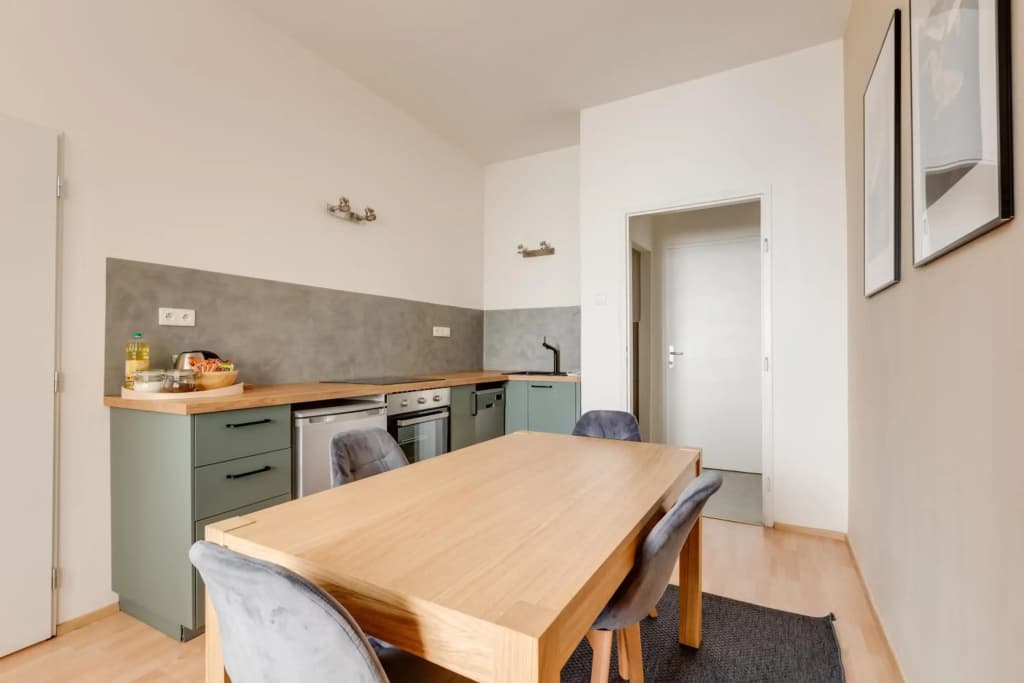 Riben House Prague - photo 25