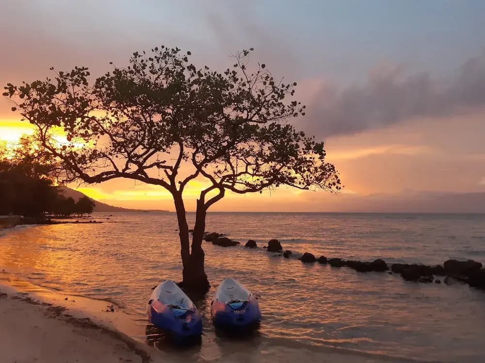 Capella Resort Phu Quoc - photo 20