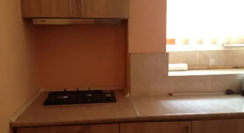 Big Whale Guesthouse - photo 13