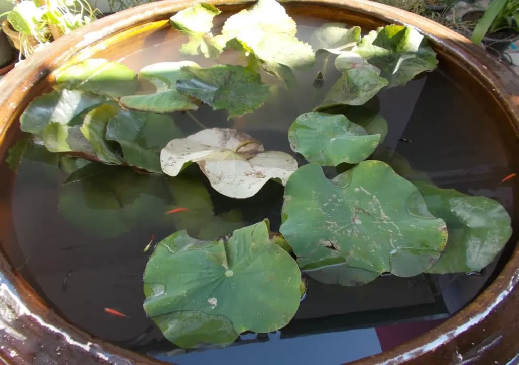 Wualai Residence - photo 22