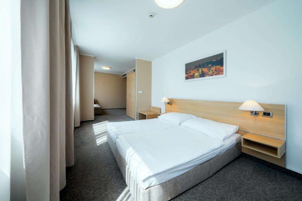 Hotel Ehrlich Prague - photo 33