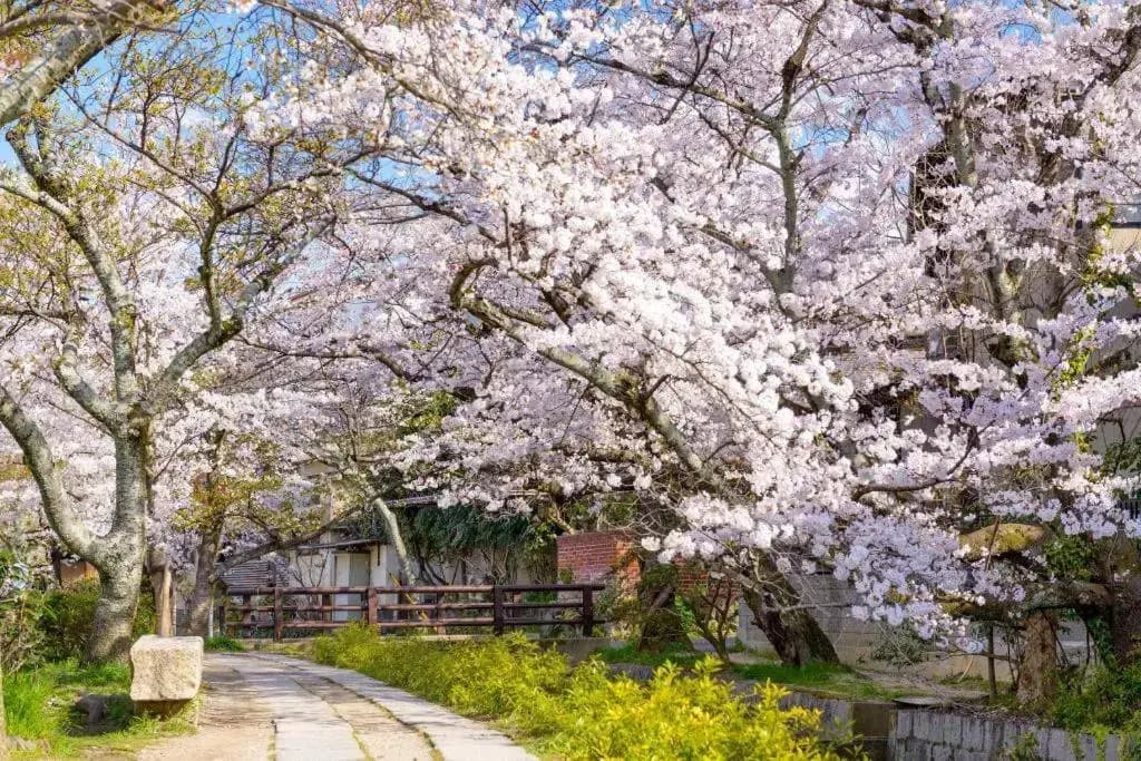 SlowTime Hotel Kyoto - photo 15