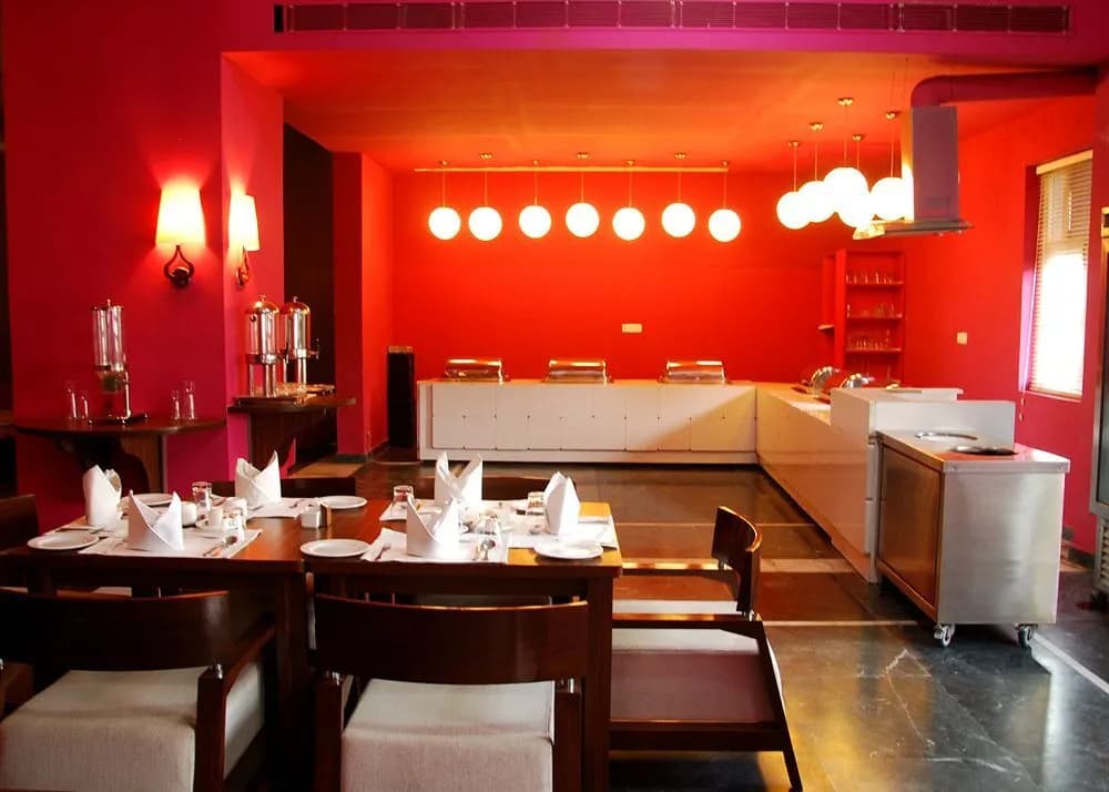 Hotel Luxe Opera NH8 – 7km from IGI Airport Delhi - photo 15