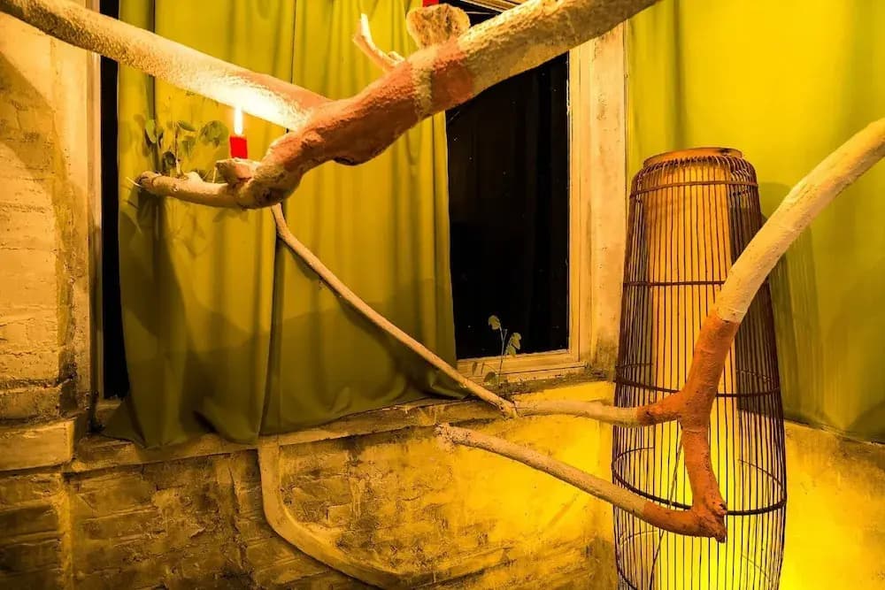 Dao Anh Khanh Studio Homestay - photo 14