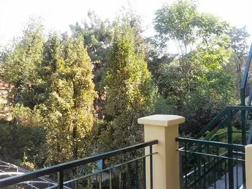 Hotel Malta - photo 19