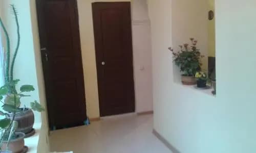Lemon Family Guesthouse - photo 11