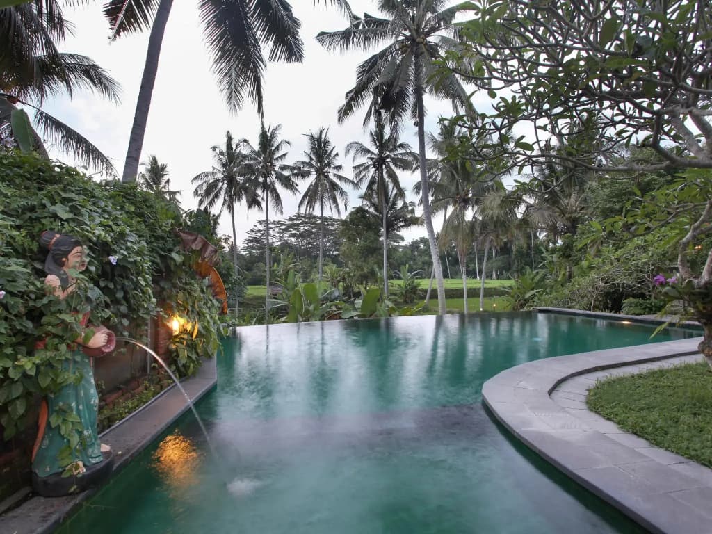 Ananda Ubud Resort - photo 10