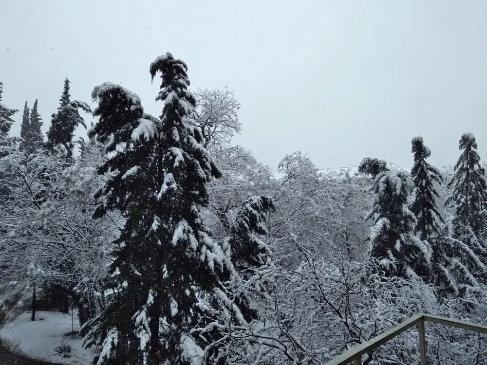 March - photo 19