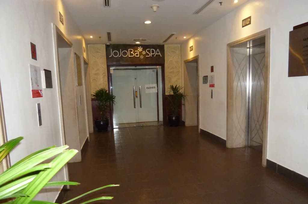Go Daily service - photo 2