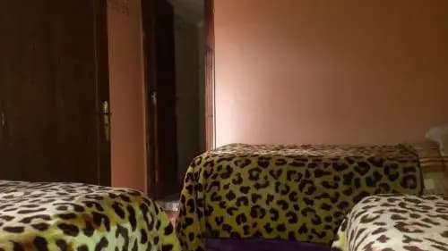 Dar T4 - photo 6