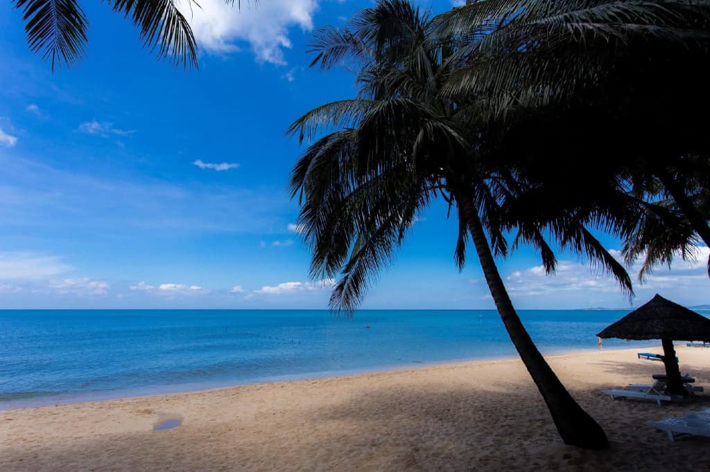 Hawaii Resort Phu Quoc - photo 11