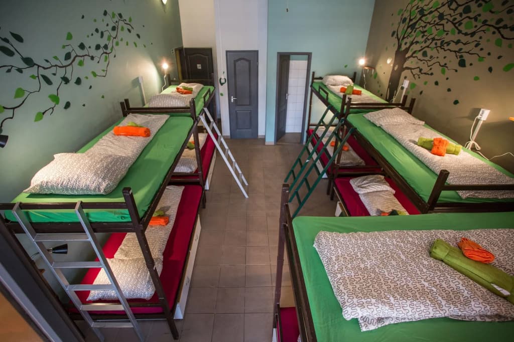Island Hostel - Adults only - photo 3