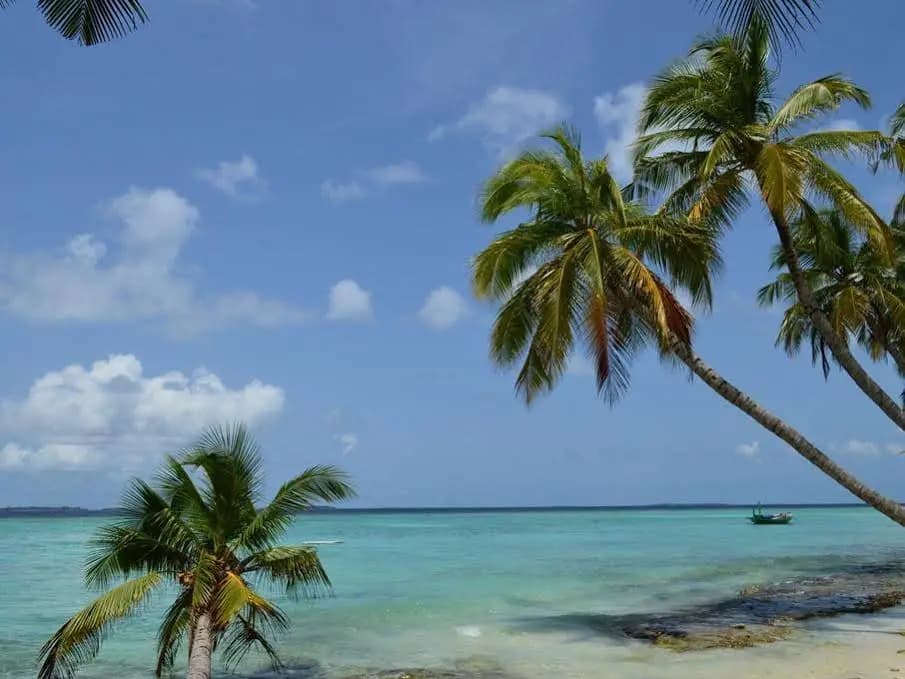Vashafaru Inn - photo 13