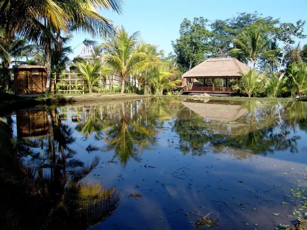 Prashanti Ubud - photo 5