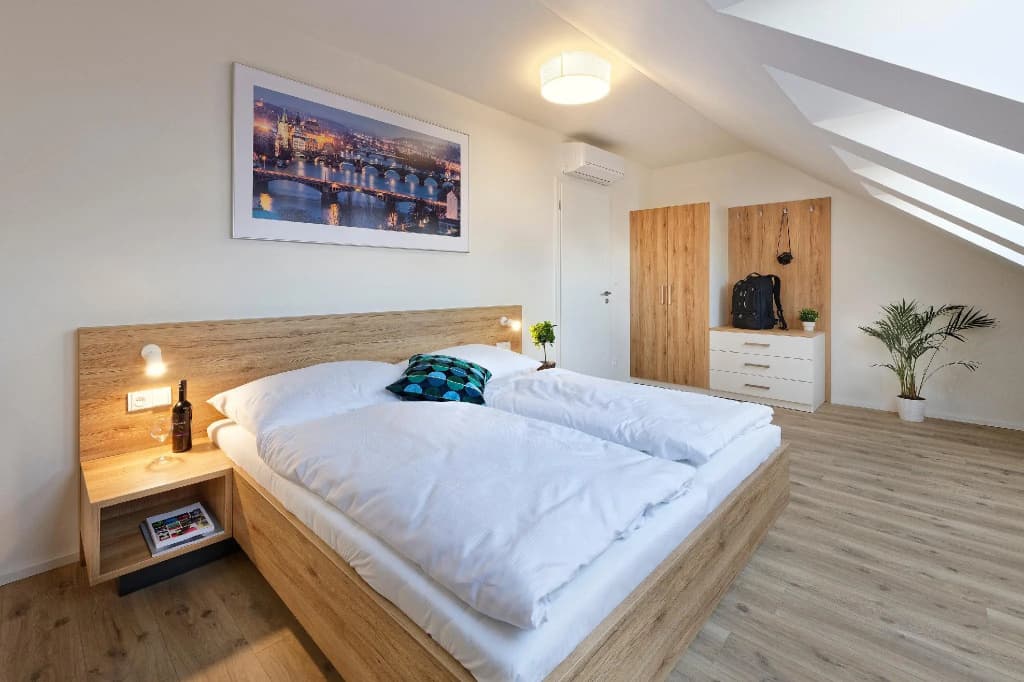 DownTown Suites Jugoslavska - photo 3