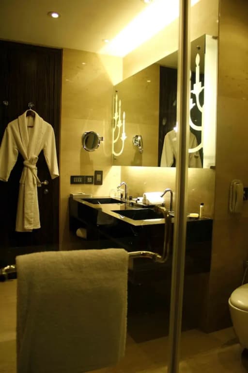 IIDL Suites New Delhi - photo 10