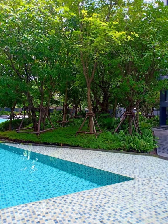 Patong Beach Luxury Condo - photo 12