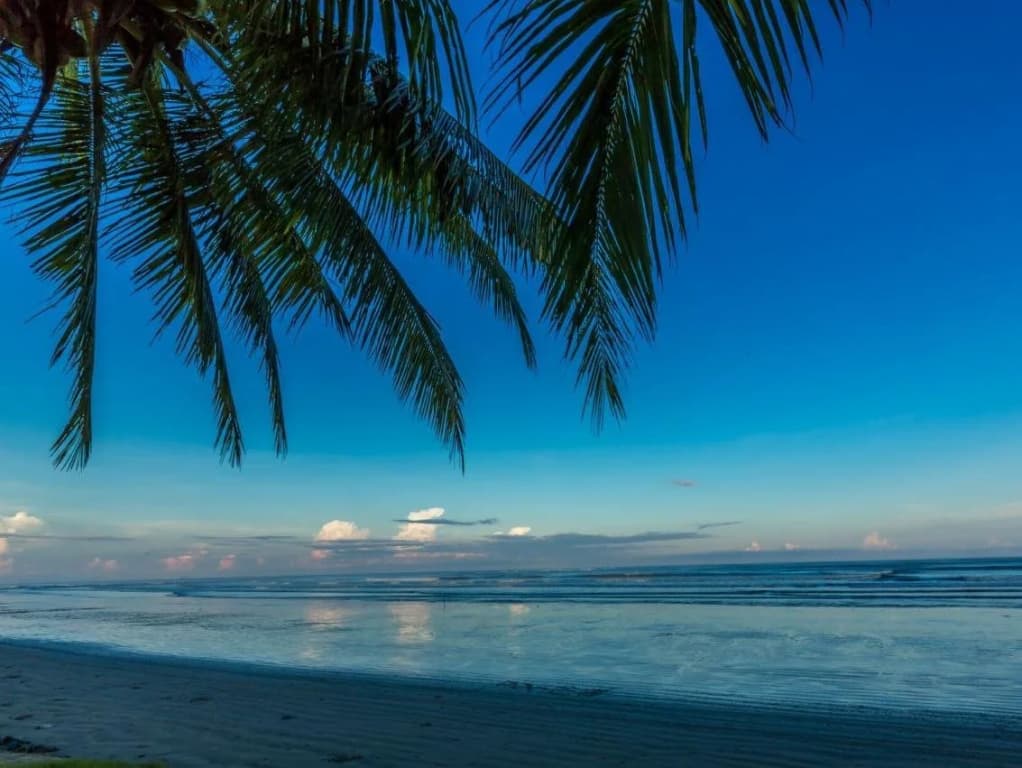 Beringgis Beach Resort & Spa - photo 22
